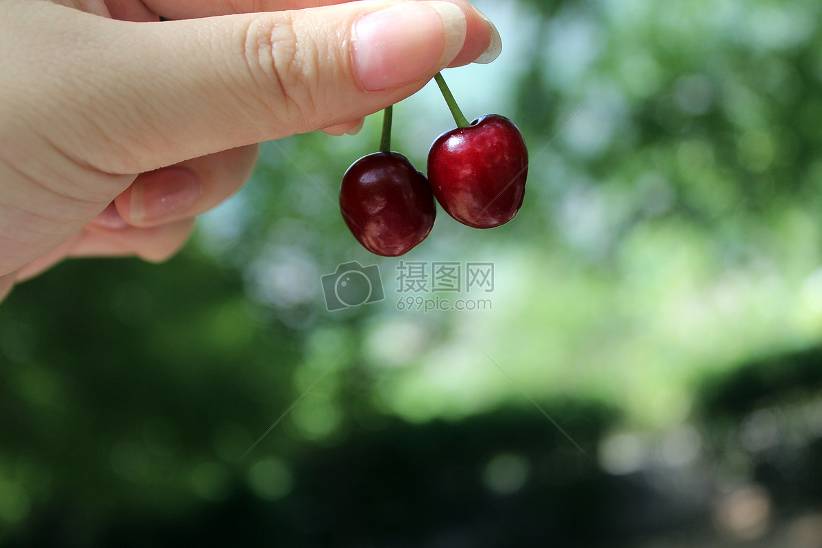 jpg  分享: qq好友 微信朋友圈 qq空间 新浪微博  花瓣 举报