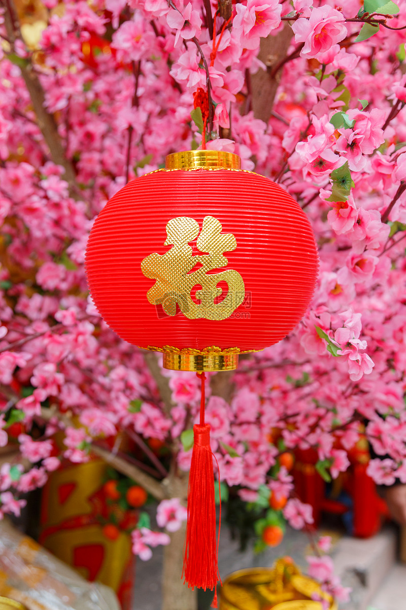 中国新年春节喜庆吉祥元素