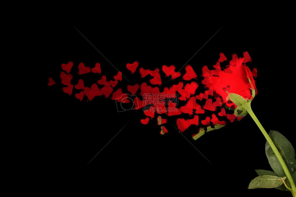 心型玫瑰花素材 心形玫瑰框 玫瑰平面广告素材免费下载(图片编号:5935687)-六图网