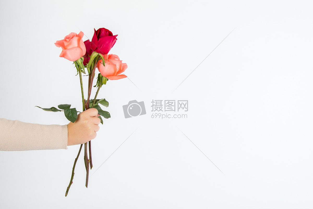 手拿玫瑰花的男性背影高清图片下载-正版图片500793005-摄图网