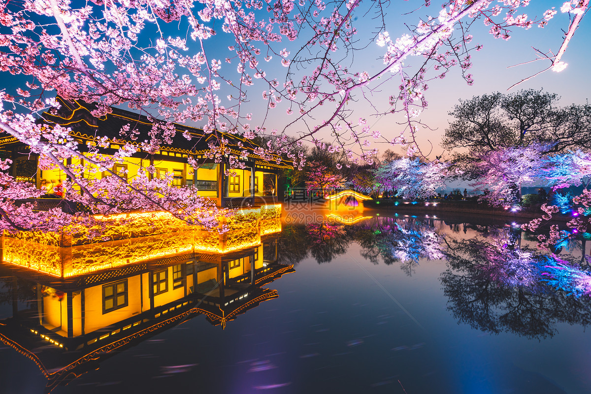2018无锡鼋头渚樱花节，世界唯一夜樱观赏地|樱花节|鼋头渚|无锡_新浪新闻