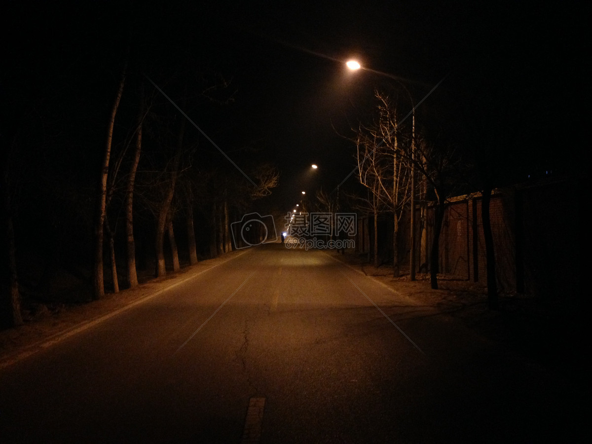照片 自然风景 夜晚在路灯下行走.
