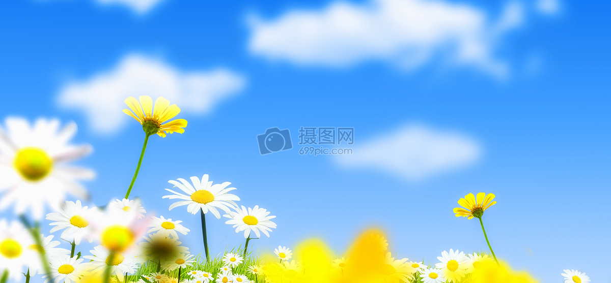 花卉蓝天背景