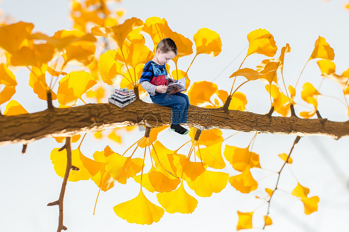 树上看书的孩子