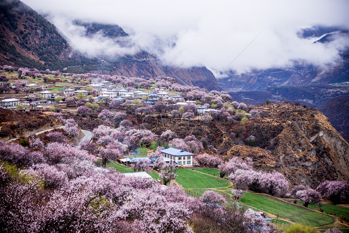 农村风景随手拍 - 花粉随手拍风光 花粉俱乐部