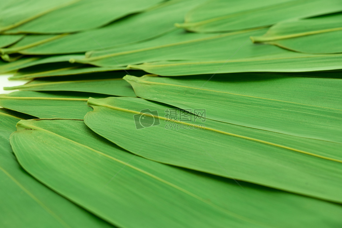绿色清新的粽子叶上面透明的水滴中国传统节日端午节高清PNG素材