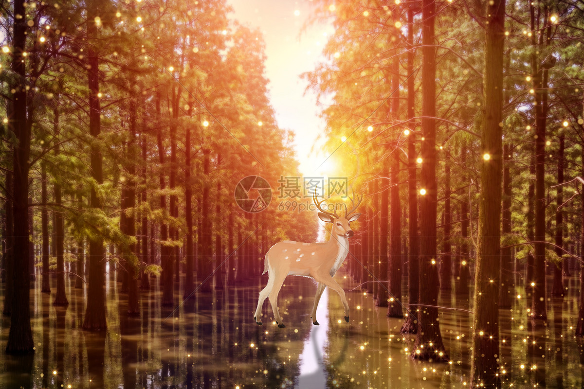 森林里的鹿精灵幻化成星河
