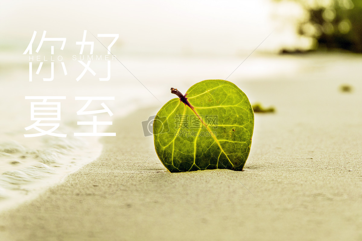 夏至图片