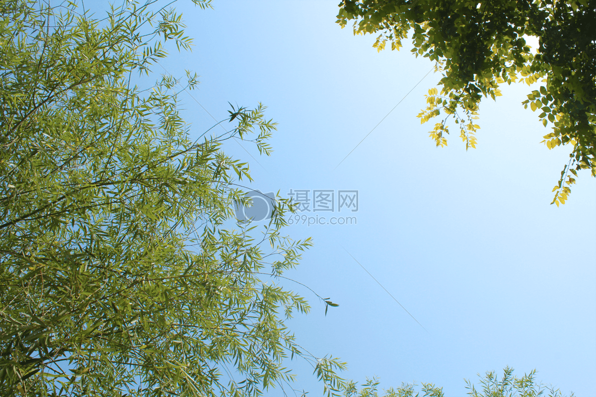 新浪微博  花瓣 举报 标签: 光夏天太阳自然美蓝天风景阳光照射在蓝天