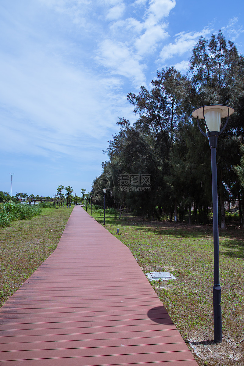 蓝天白云公园健身散步路风景