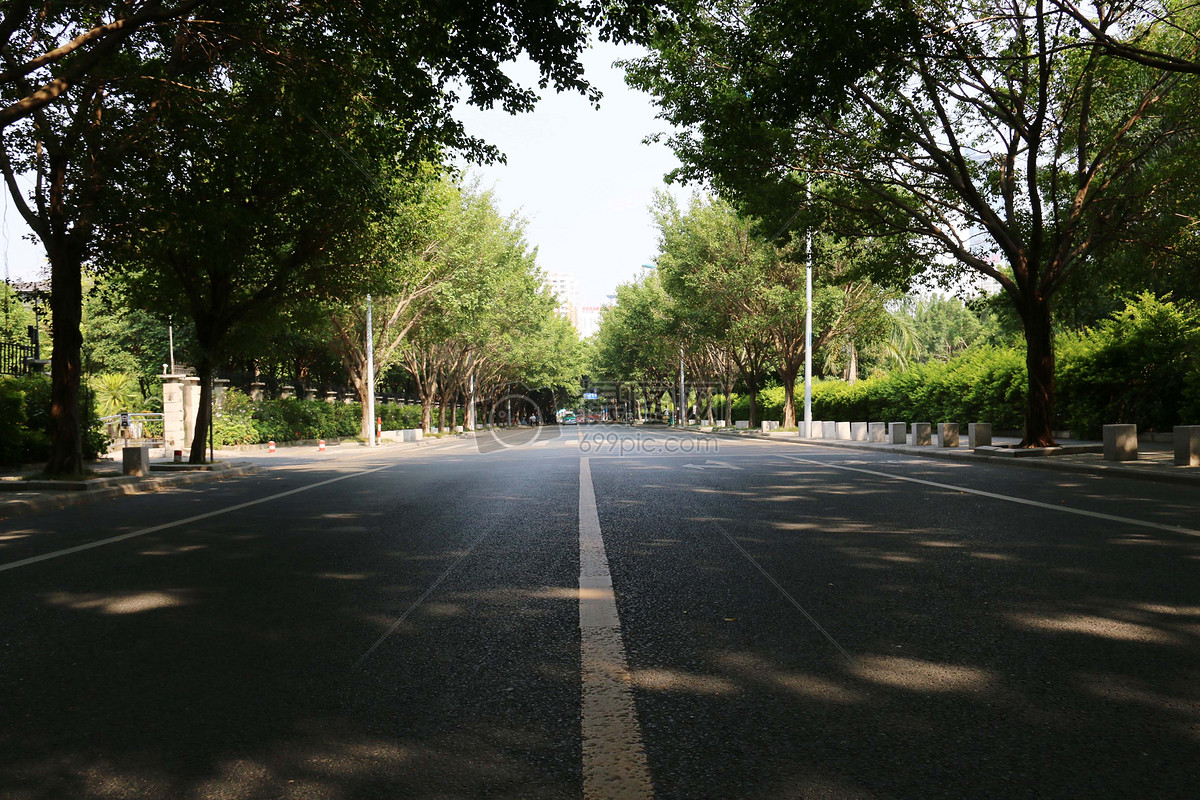 道路 街道 夏天