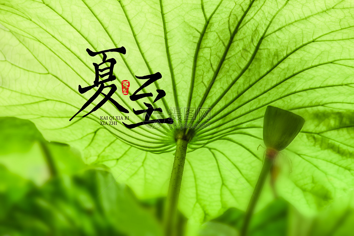 夏至图片