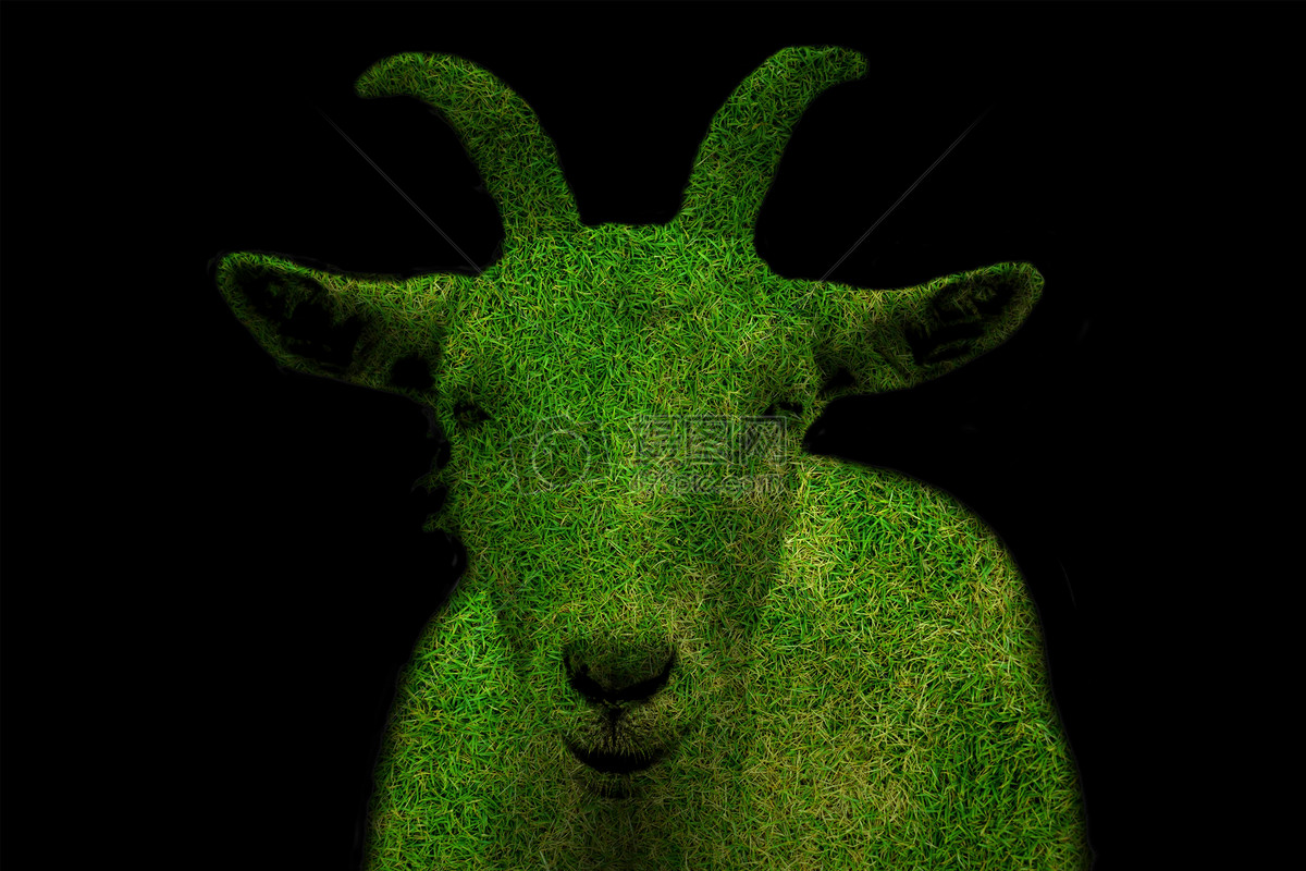 绿色的羊