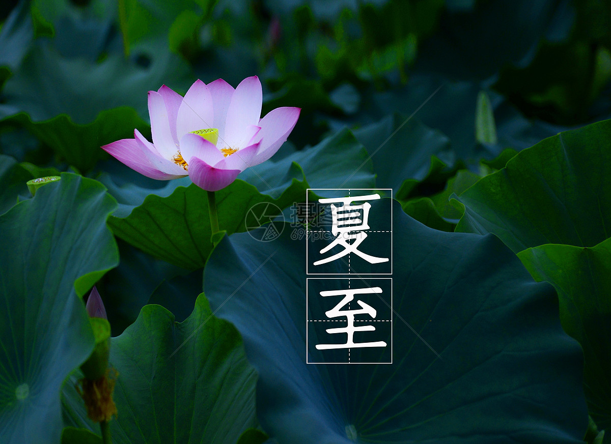 夏至图片素材_免费下载_jpg图片格式_vrf高清图片_摄