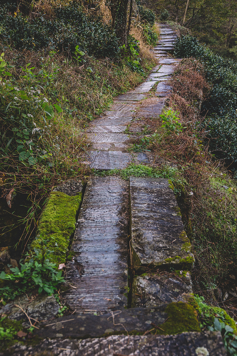 山间道路马路小路