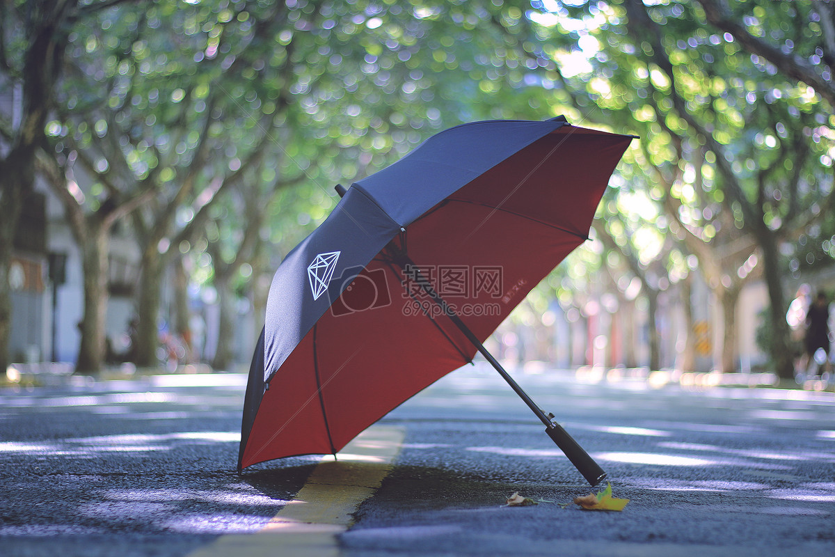 摄图网 照片 雨伞.