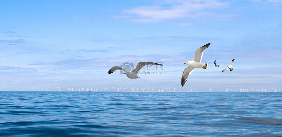 海上的海鸥图片素材_免费下载_jpg图片格式_vrf高清图片500454293_摄
