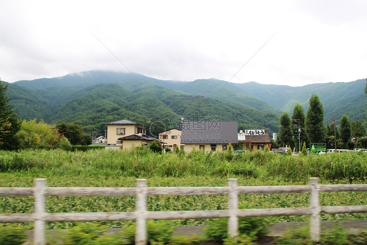 图片 照片 自然风景 日本夏日田园风光.