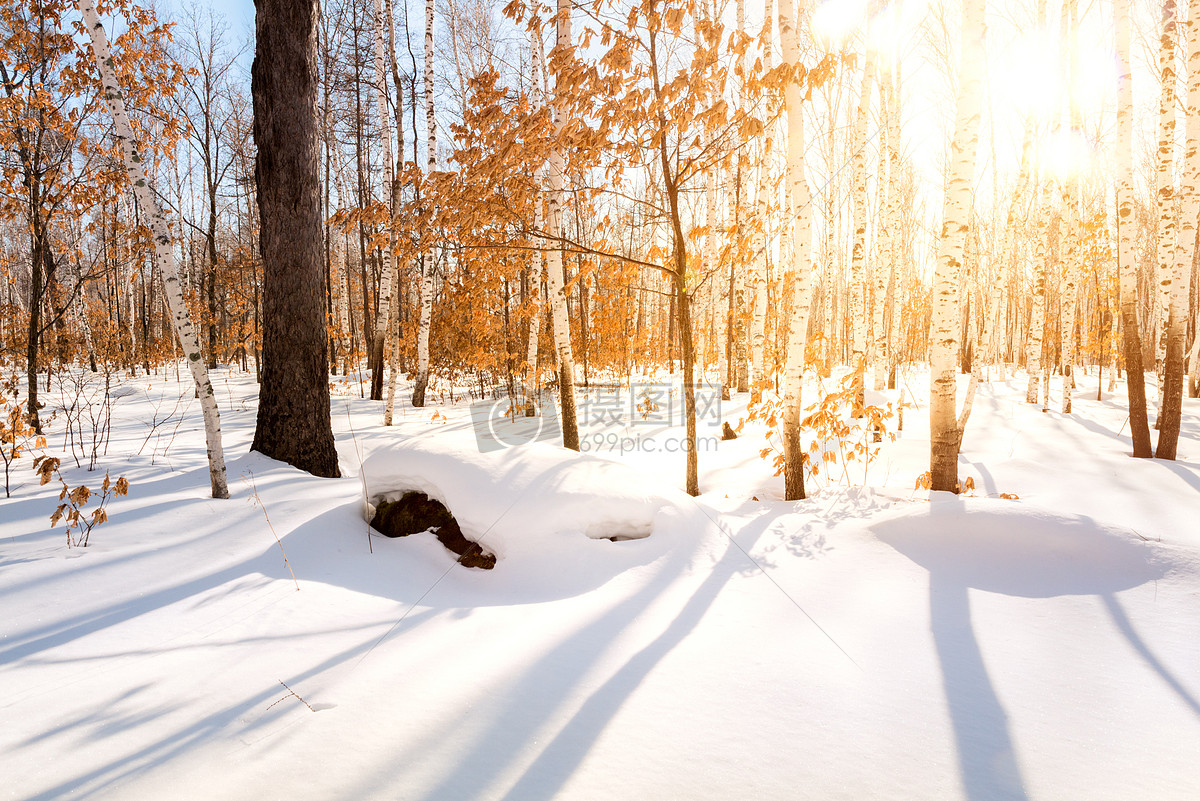 唯美清新冬日雪景1920x1080分辨率下载,唯美清新冬日雪景,高清图片,壁纸,自然风景-桌面城市