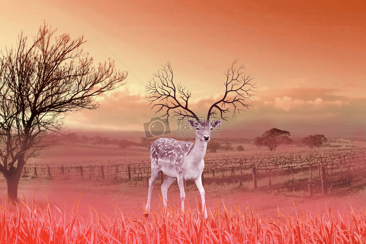 创意背景 自然风景 黄昏下的梅花鹿.