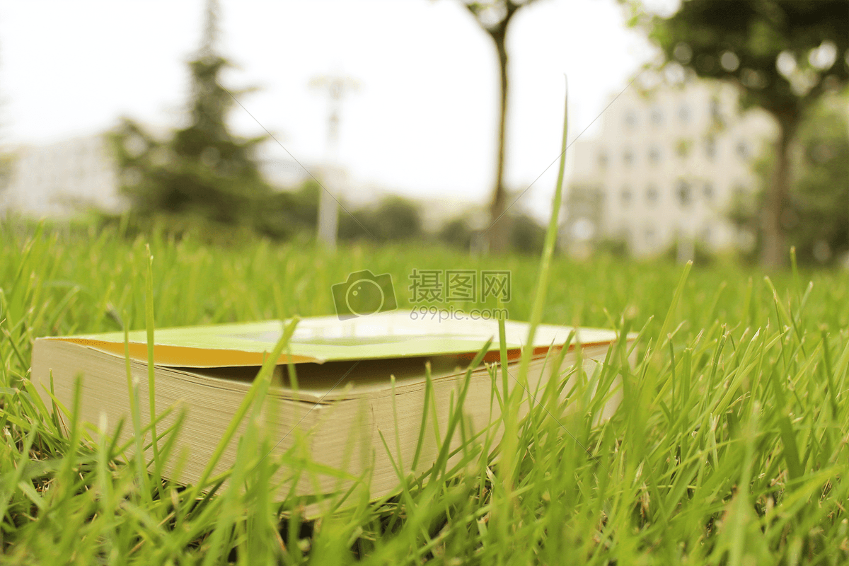 落在草地上的书本