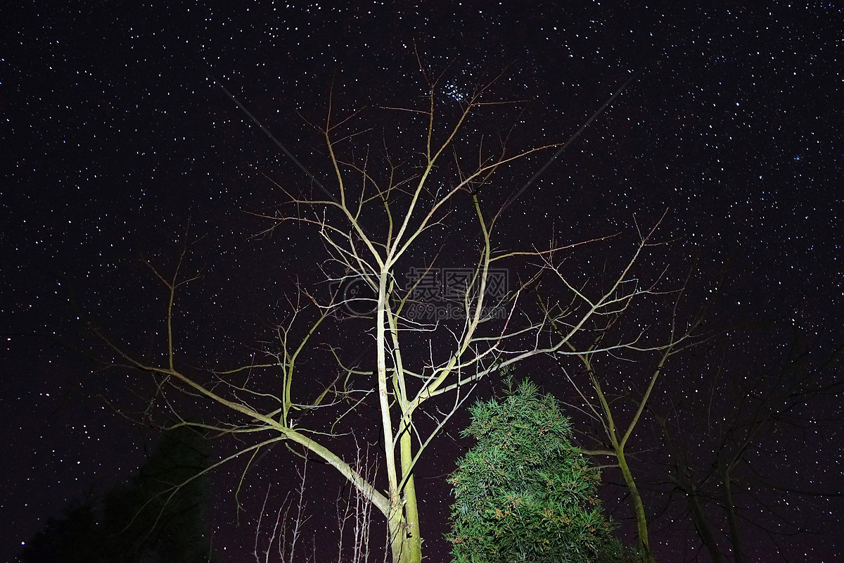 树下夜空