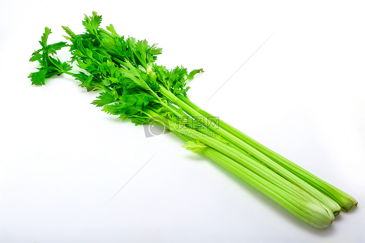 新鲜的蔬菜芹菜高清图片下载-正版图片500177126-摄图网