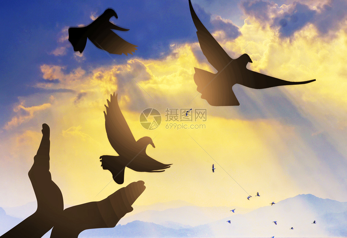 放飞和平与希望图片素材-正版创意图片500621829-摄图网