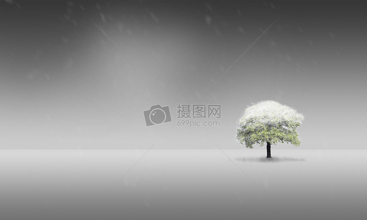 空旷的冬天一棵树屹立在雪景雪地简约极简背景