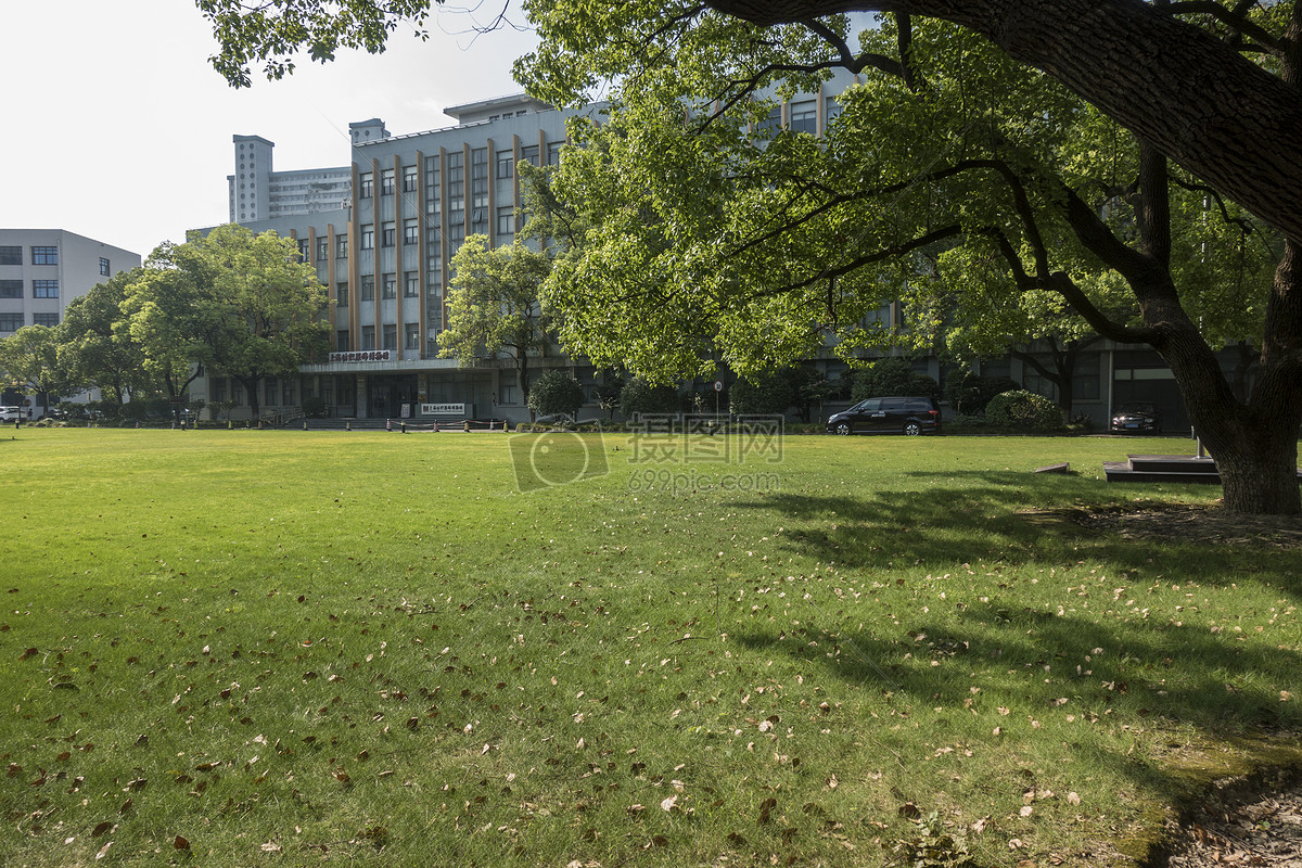 学校草坪