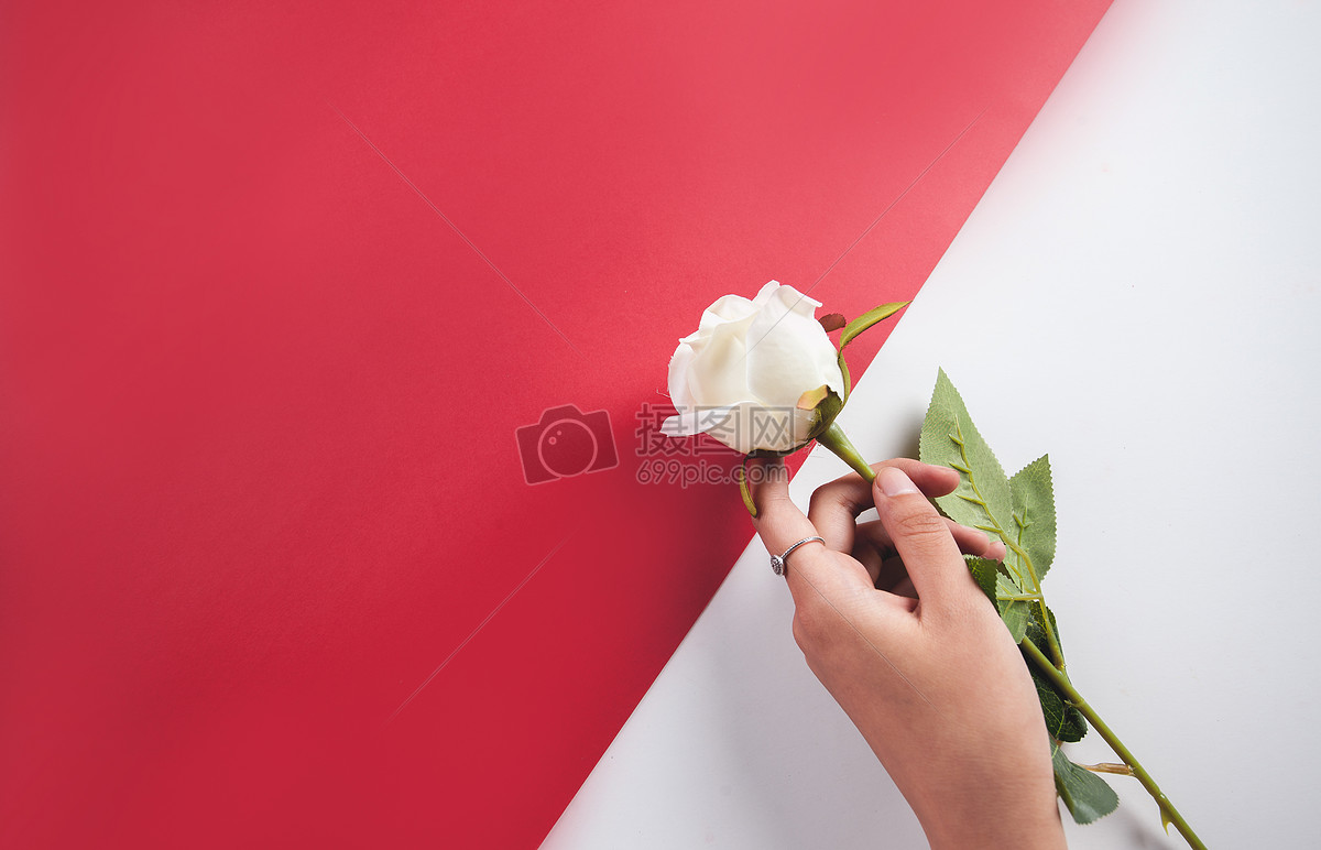 手拿玫瑰花的美女图片素材-编号26952398-图行天下