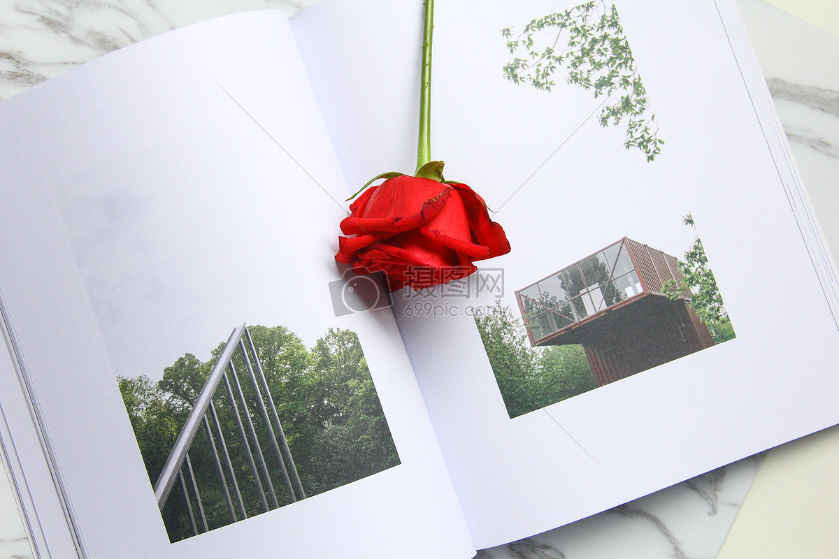 玫瑰花与书本高清图片下载-正版图片500552262-摄图网