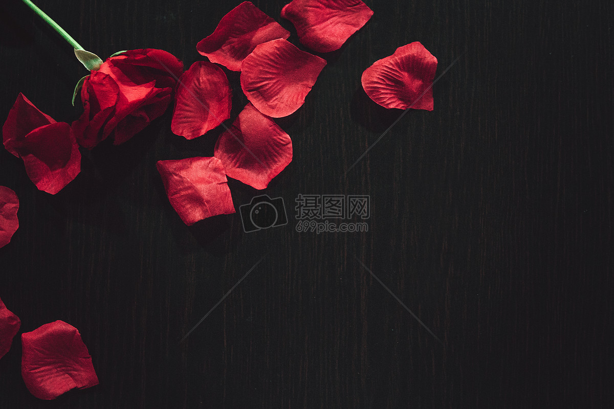 玫瑰花|平面|海报|千谦Chen - 临摹作品 - 站酷 (ZCOOL)