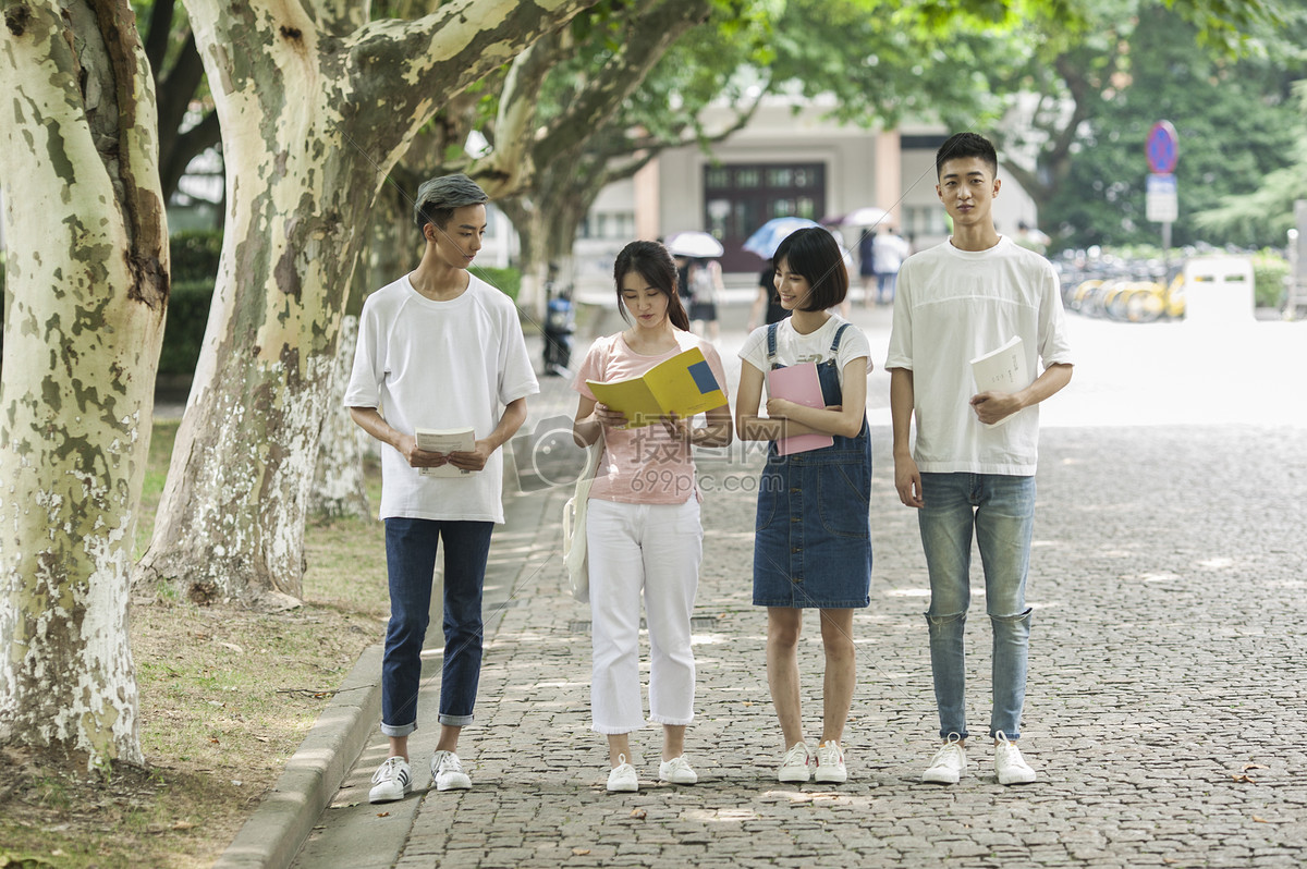 学校教室林荫同学们交流学习友谊