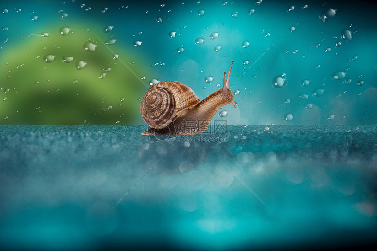 雨天中的蜗牛插画图片下载-正版图片400099032-摄图网