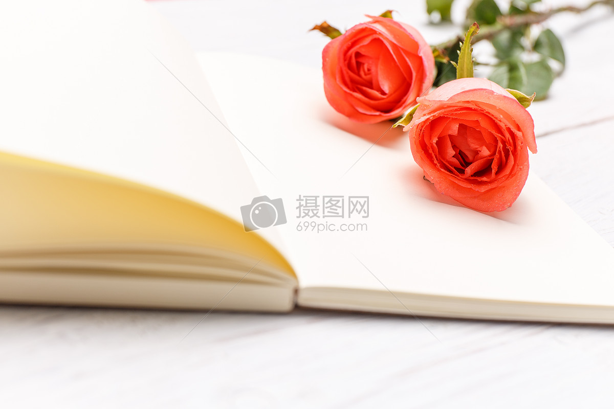 壁纸 白色玫瑰花和书 1920x1200 HD 高清壁纸, 图片, 照片