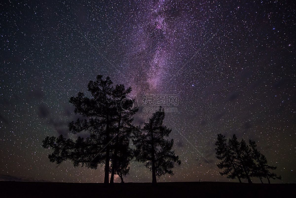 星空下的树