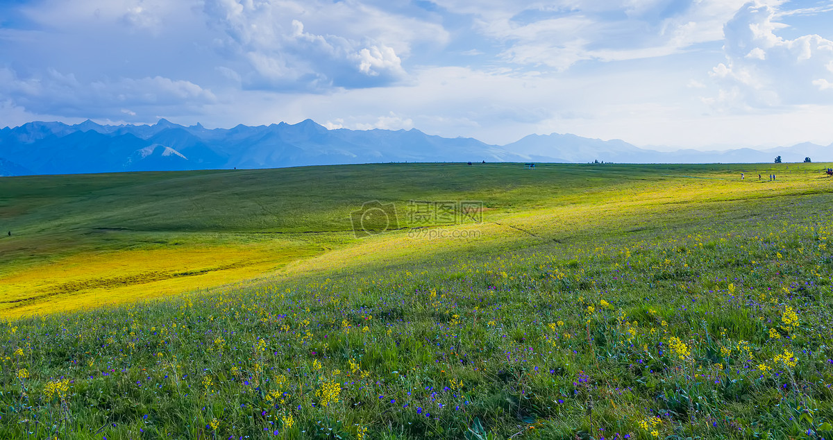 新疆喀拉峻草原美景