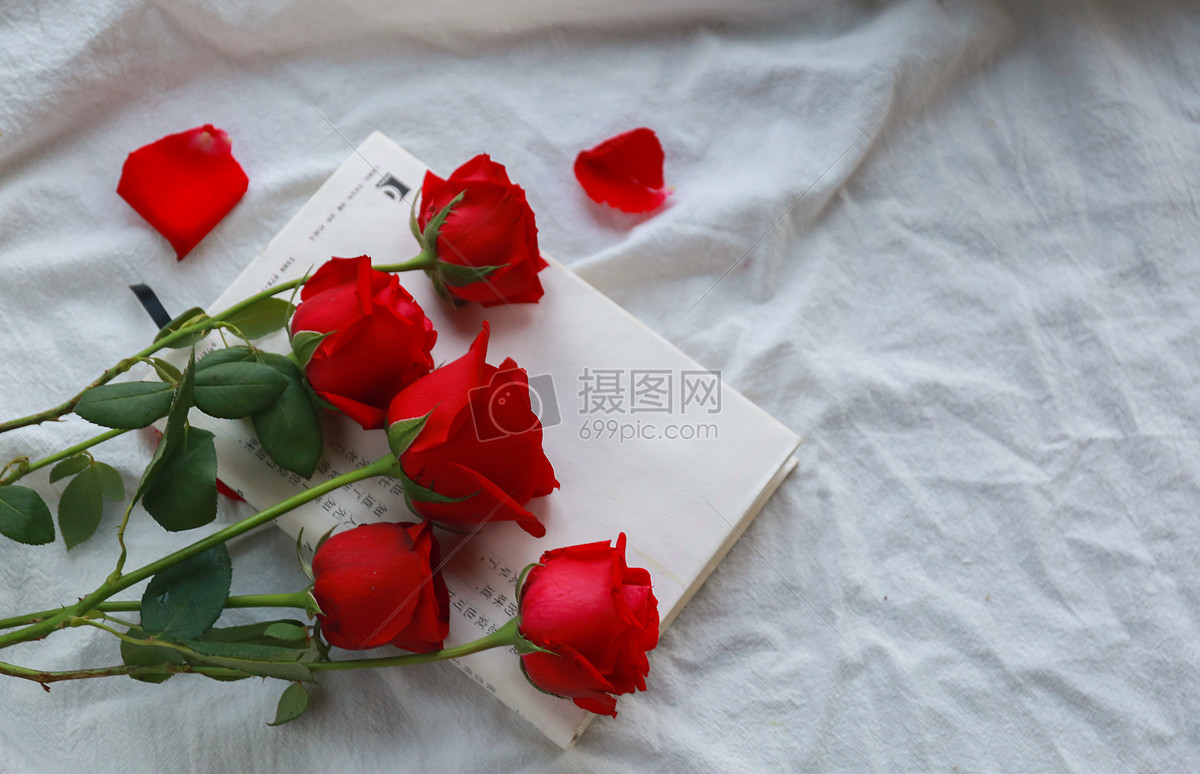 红色玫瑰花情人节素材