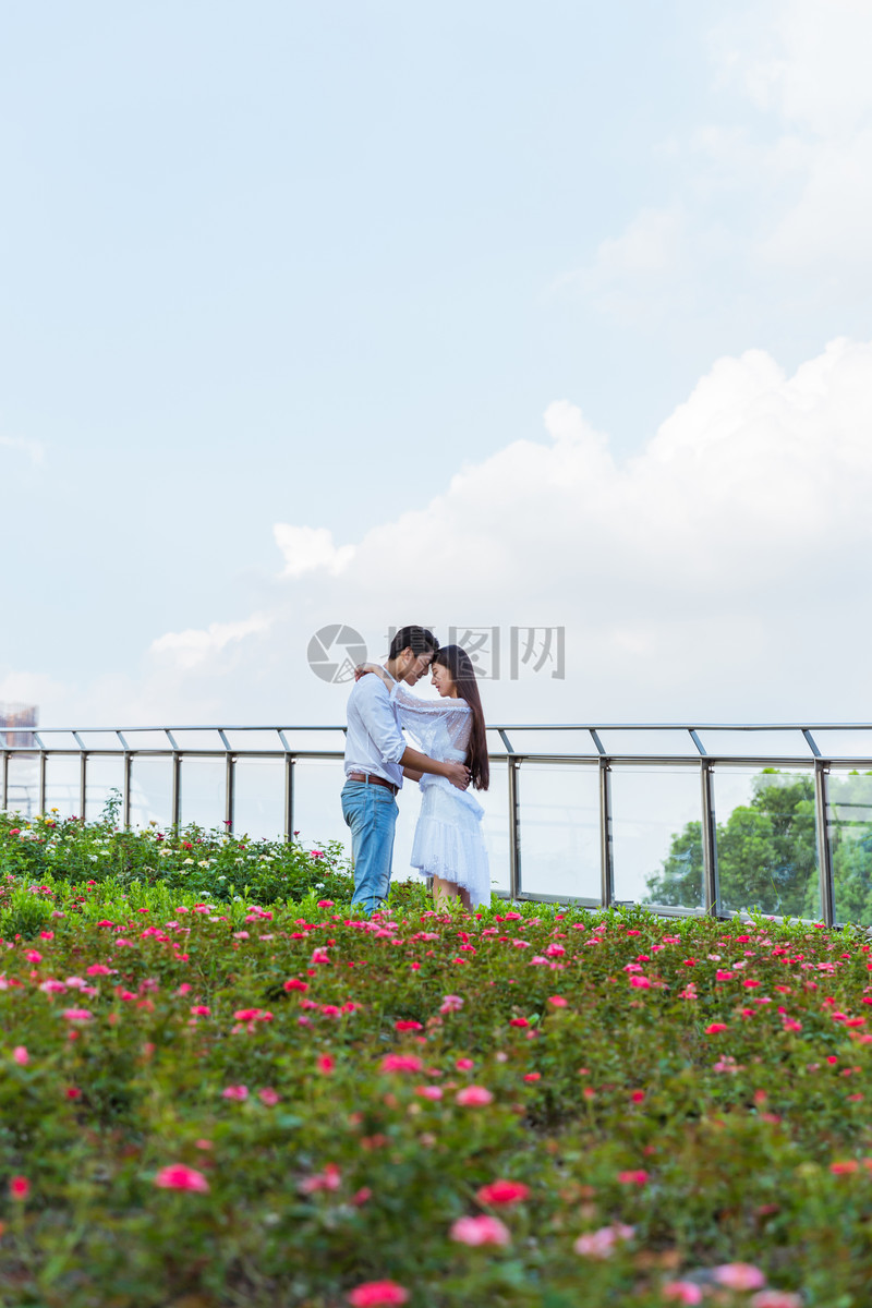 情人节花园情侣拥抱