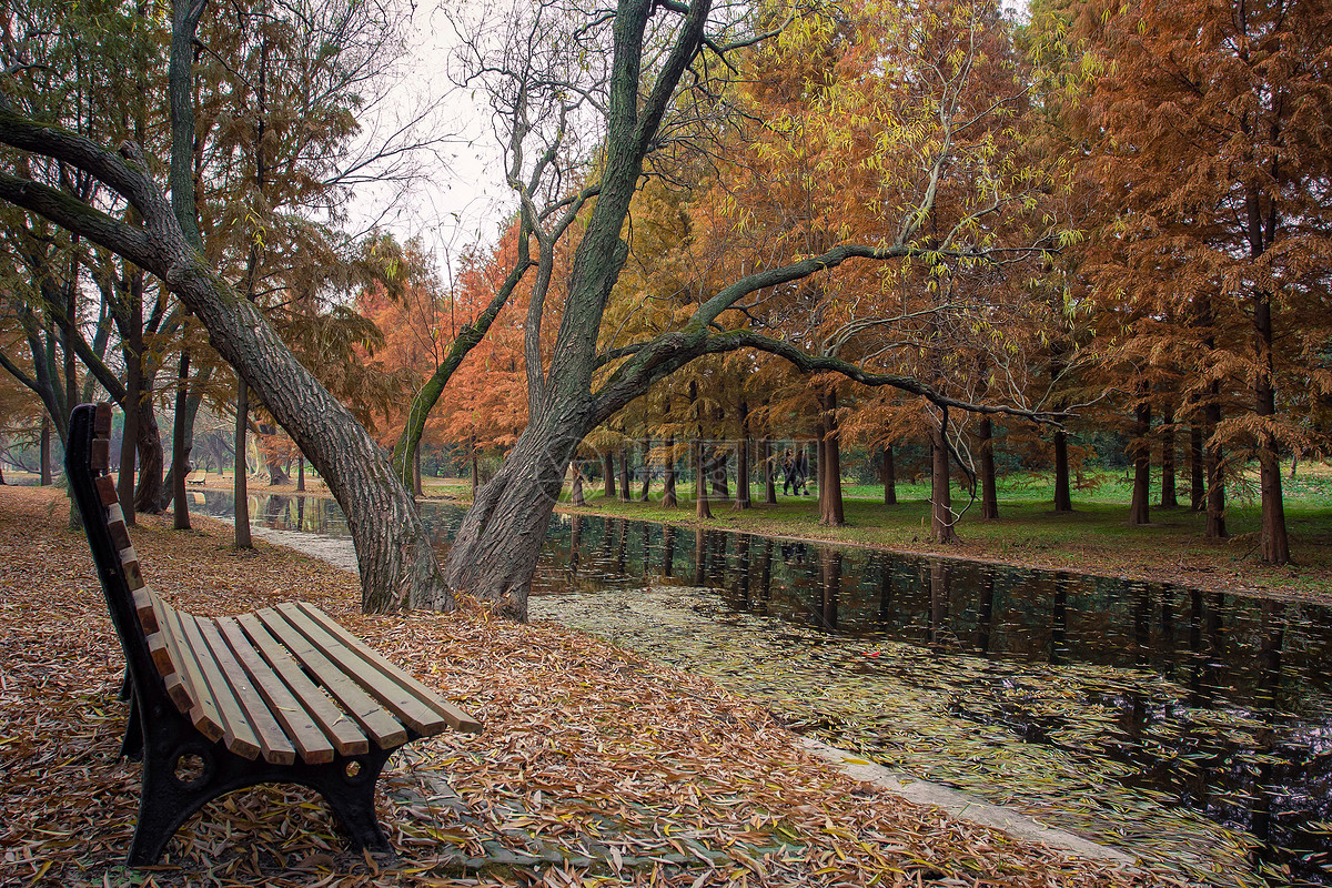 黄色老人公园长椅秋季拐杖落叶白色欧洲建筑悠闲生活背景图片下载 - 觅知网