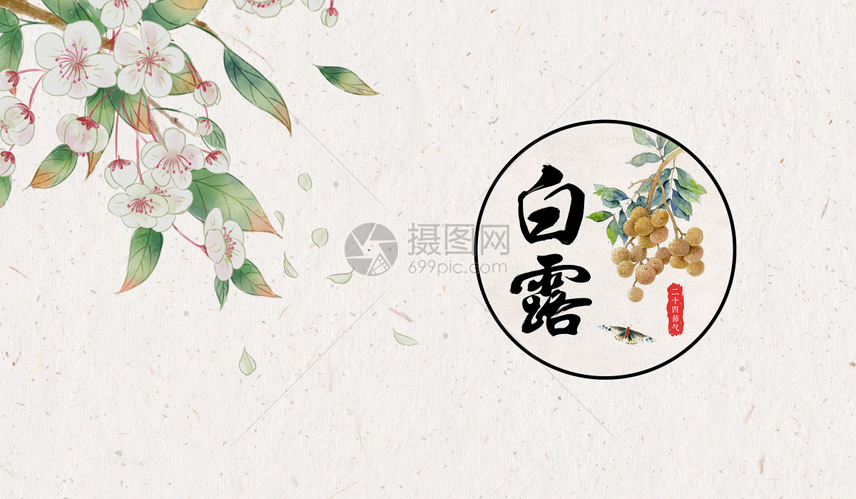 二十四节气之白露