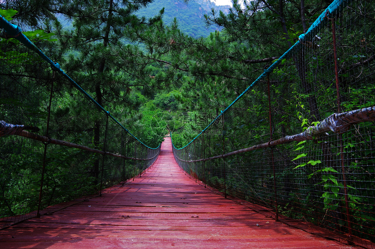 照片 旅游度假 吊桥.