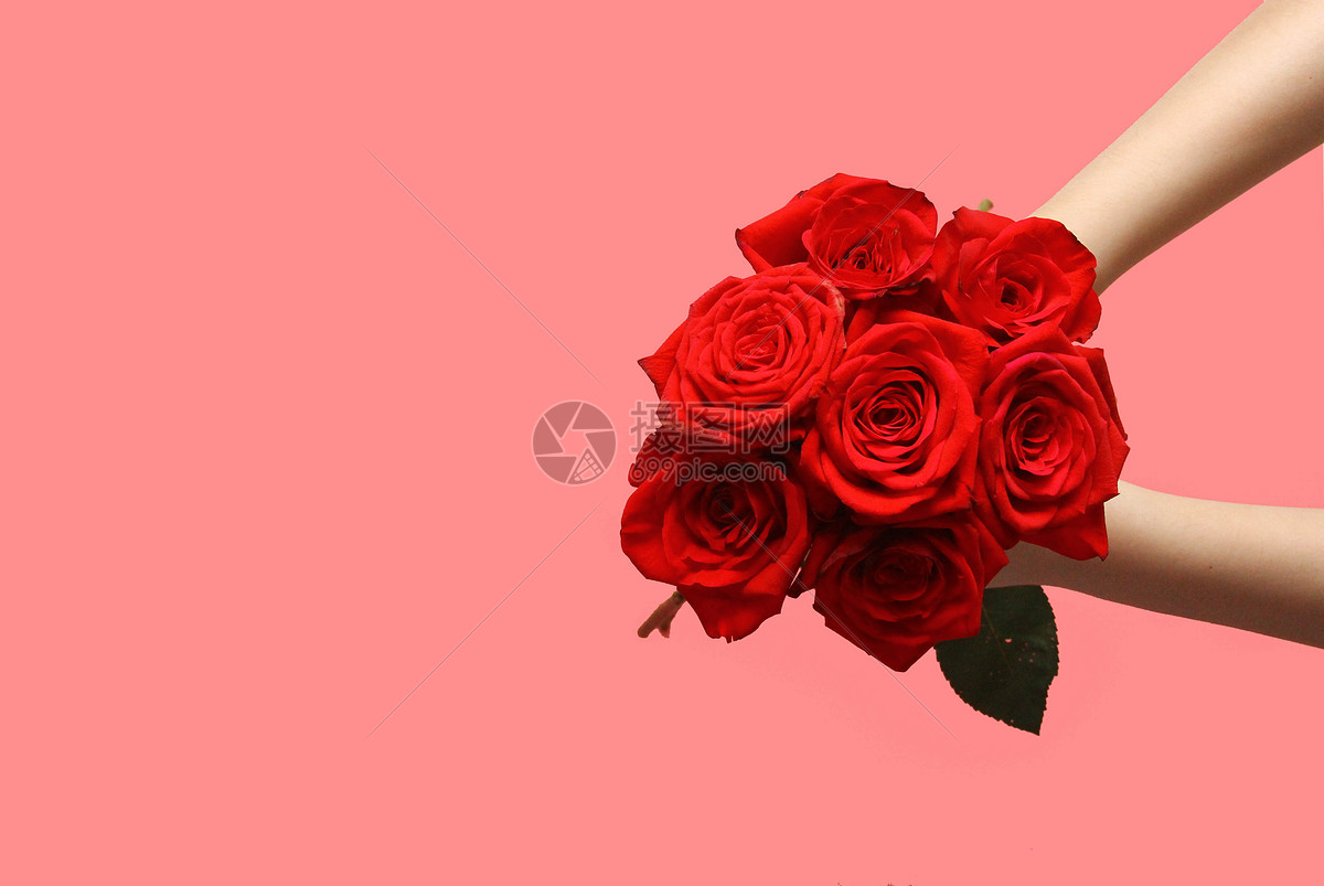 手拿一支玫瑰花高清图片下载-正版图片500552191-摄图网