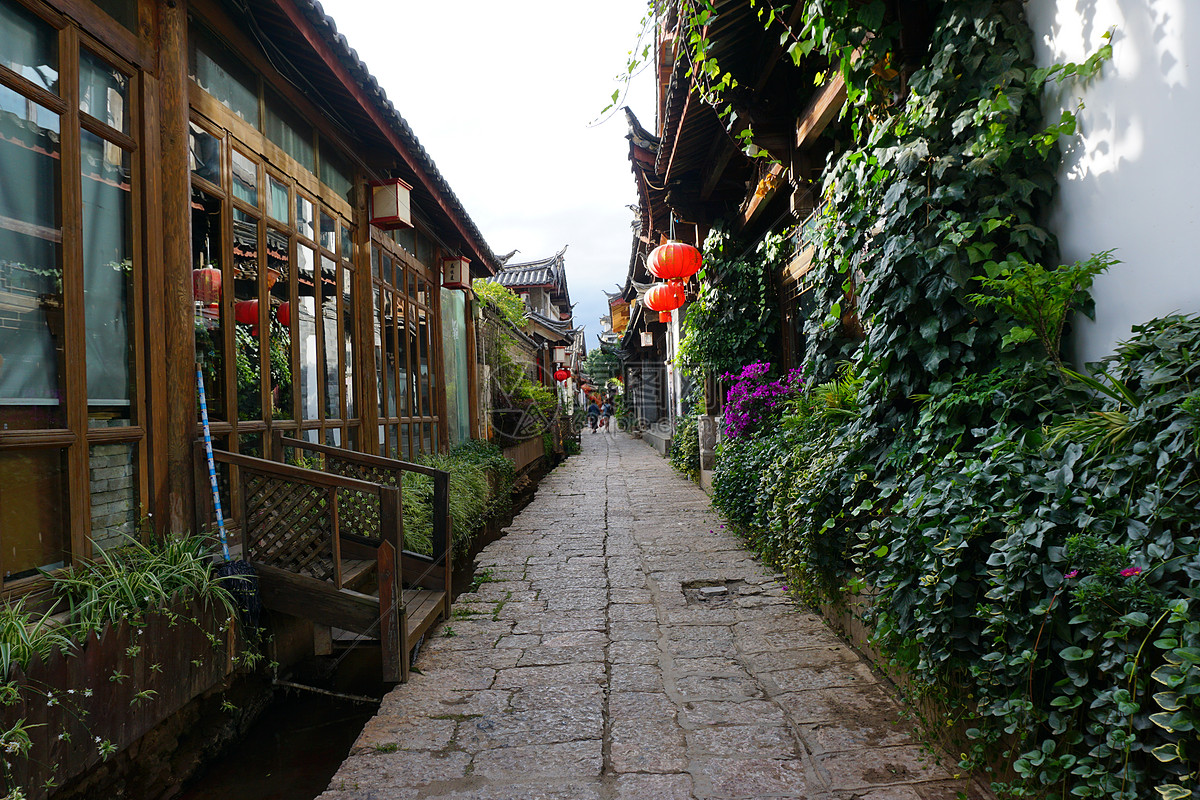 丽江古城里的绿植小巷