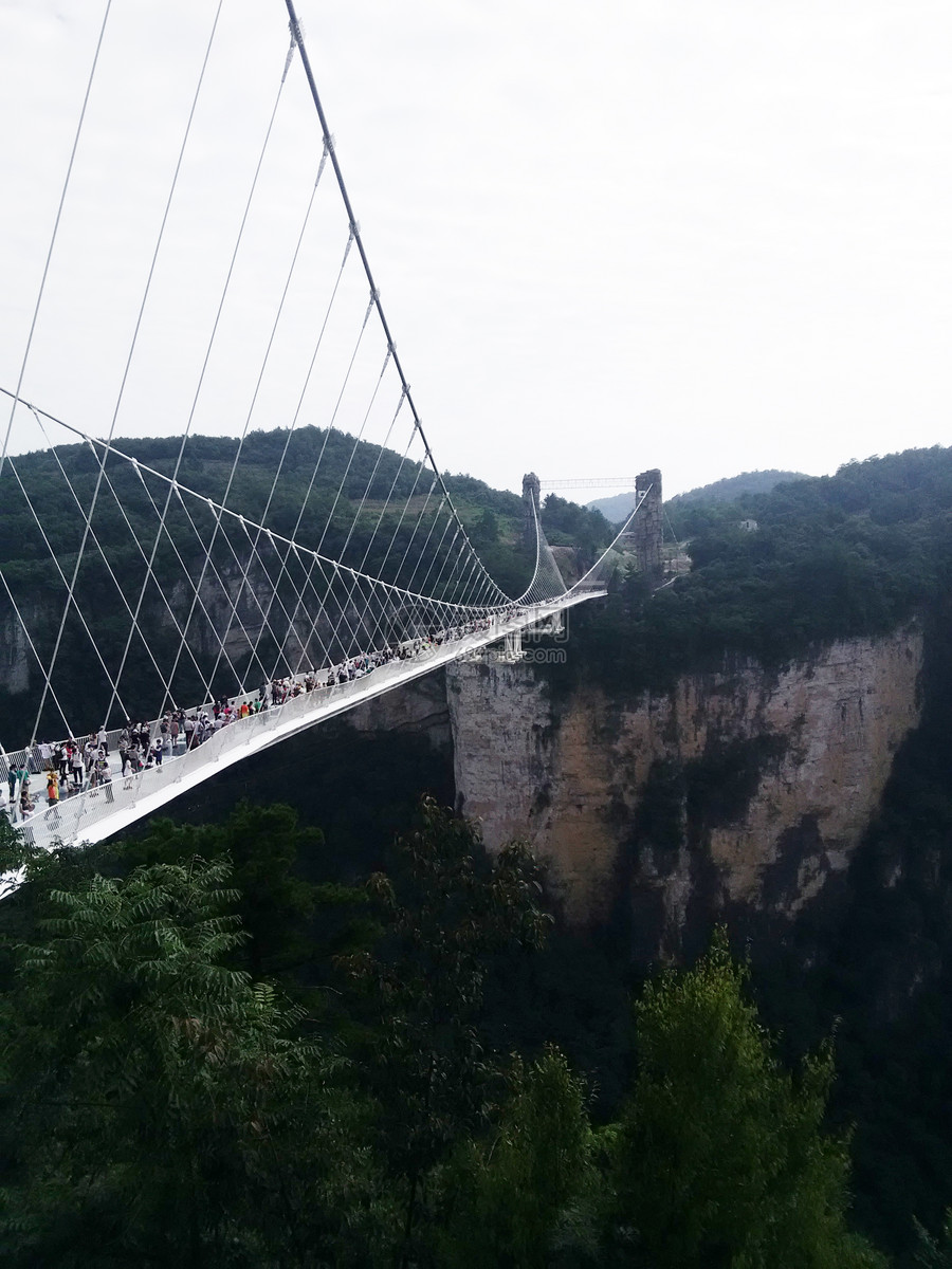 照片 自然风景 张家界玻璃桥云天渡.