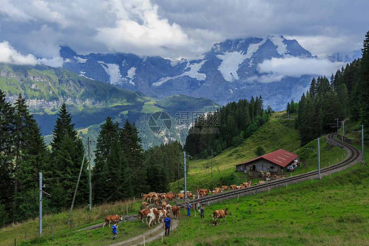 2023龙疆小镇游玩攻略,但高纬度的 瑞士 在夏季 日照...【去哪儿攻略】