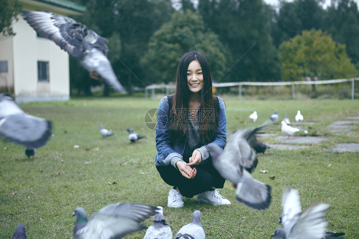 喂鸽子的女孩