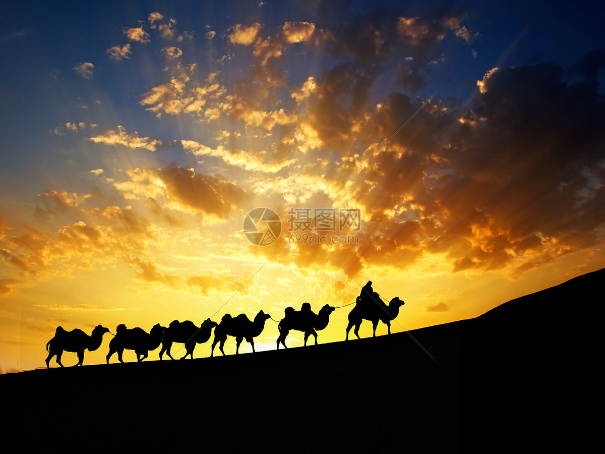 新疆风景图志—沙漠骆驼|插画|商业插画|阿后Aho - 原创作品 - 站酷 (ZCOOL)