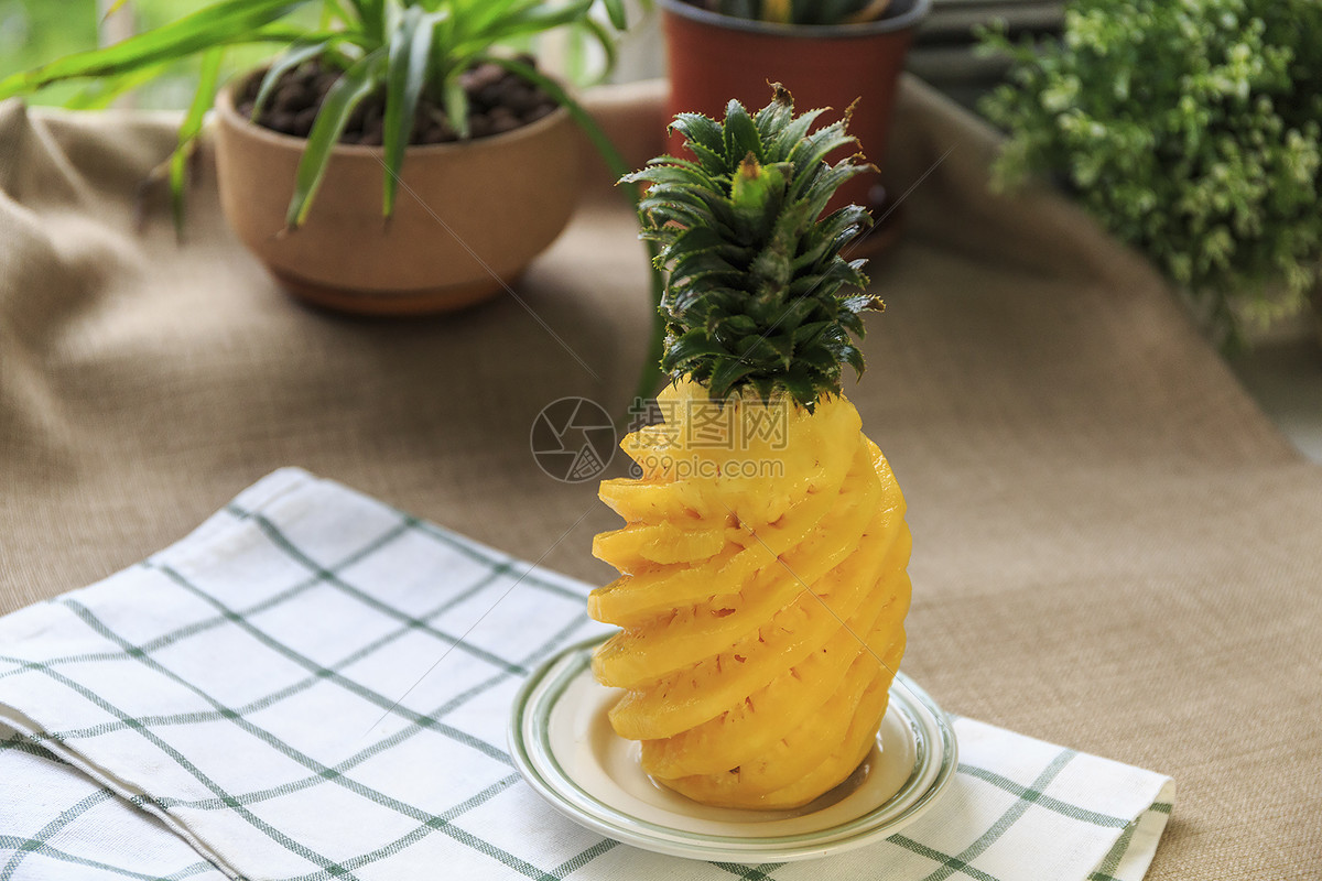菠萝头怎么种水培？ 水培菠萝头小妙招与你分享|菠萝|怎么-知识百科-川北在线